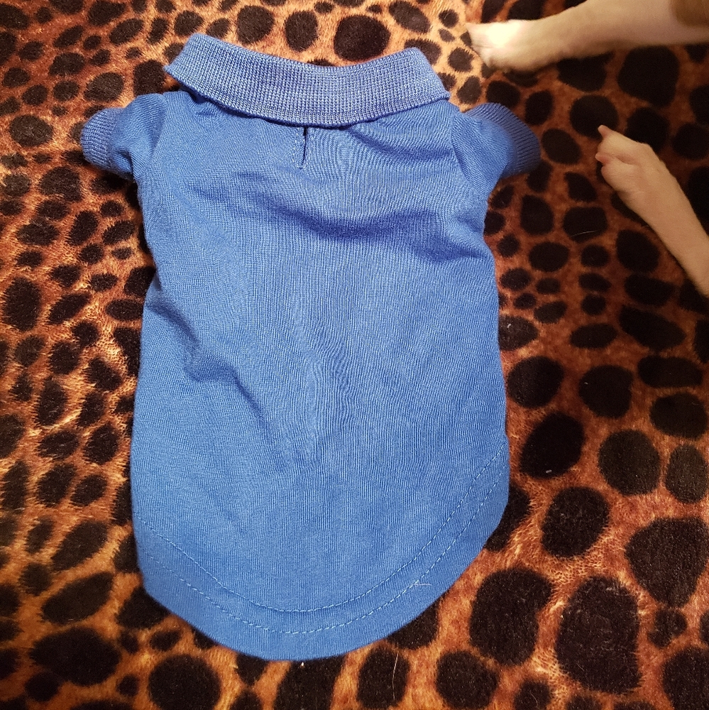 Dog Polo